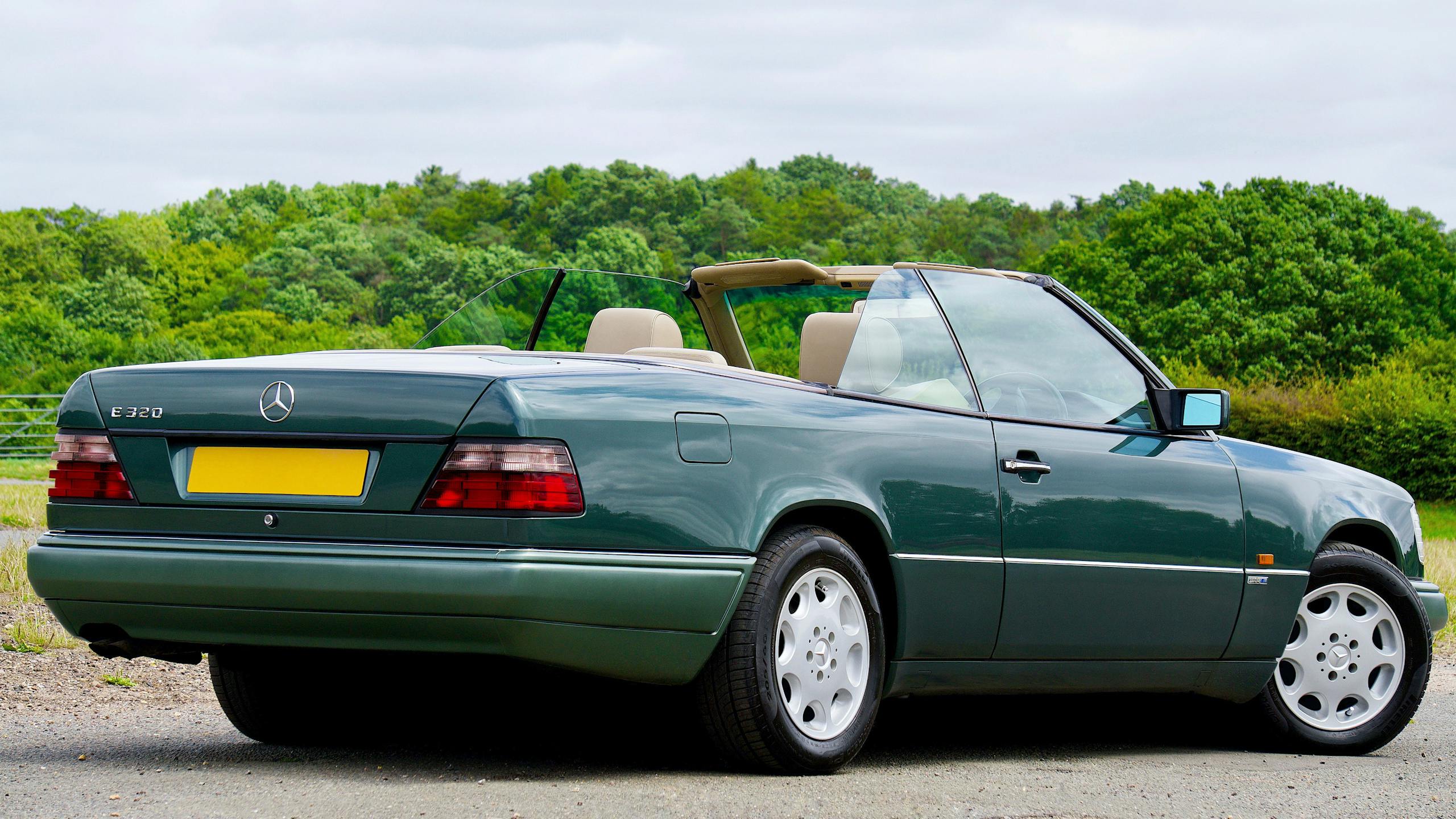 Портрет человека